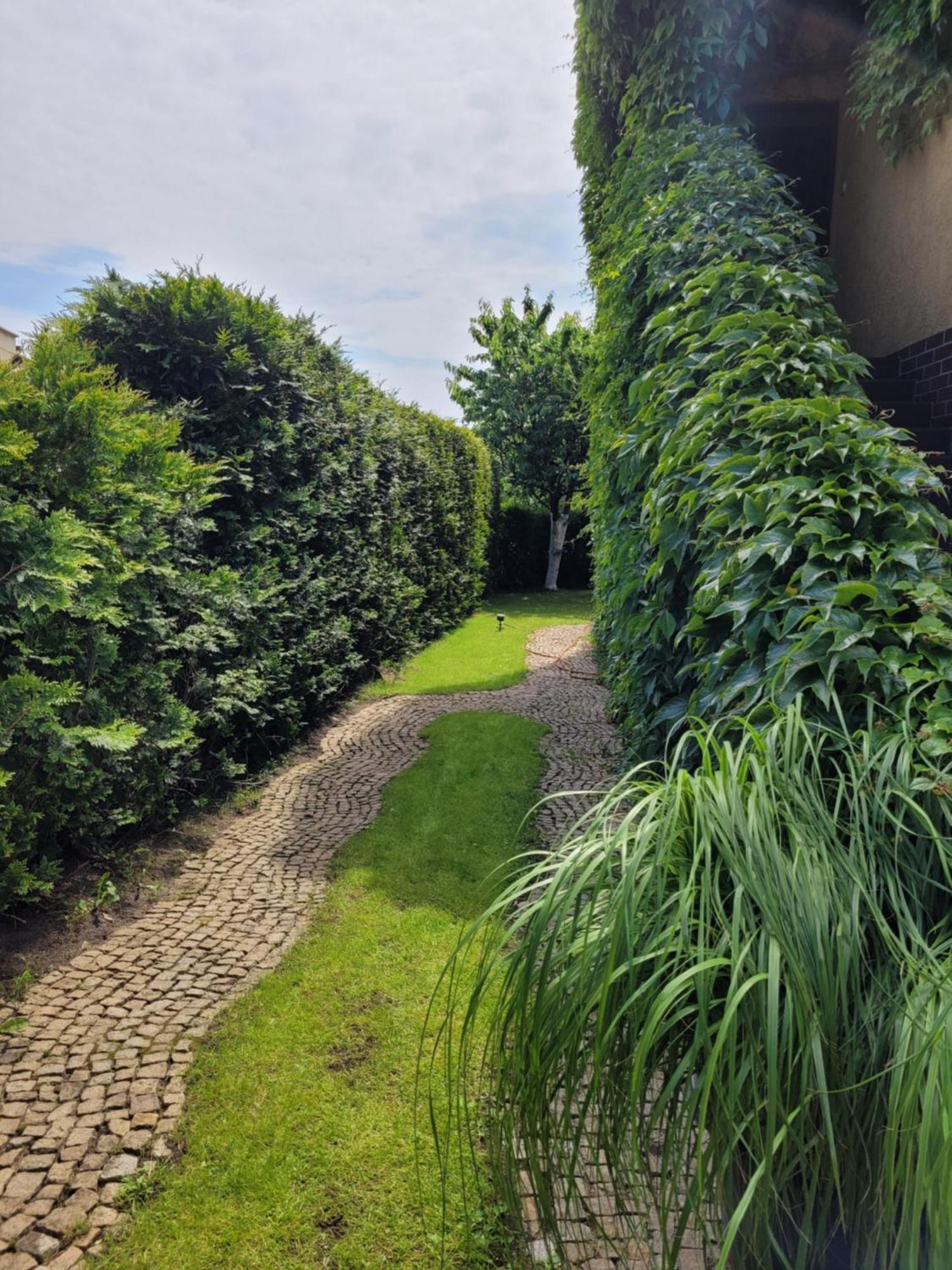 Apartamenty Forest&Sea Świnoujście Rum bild